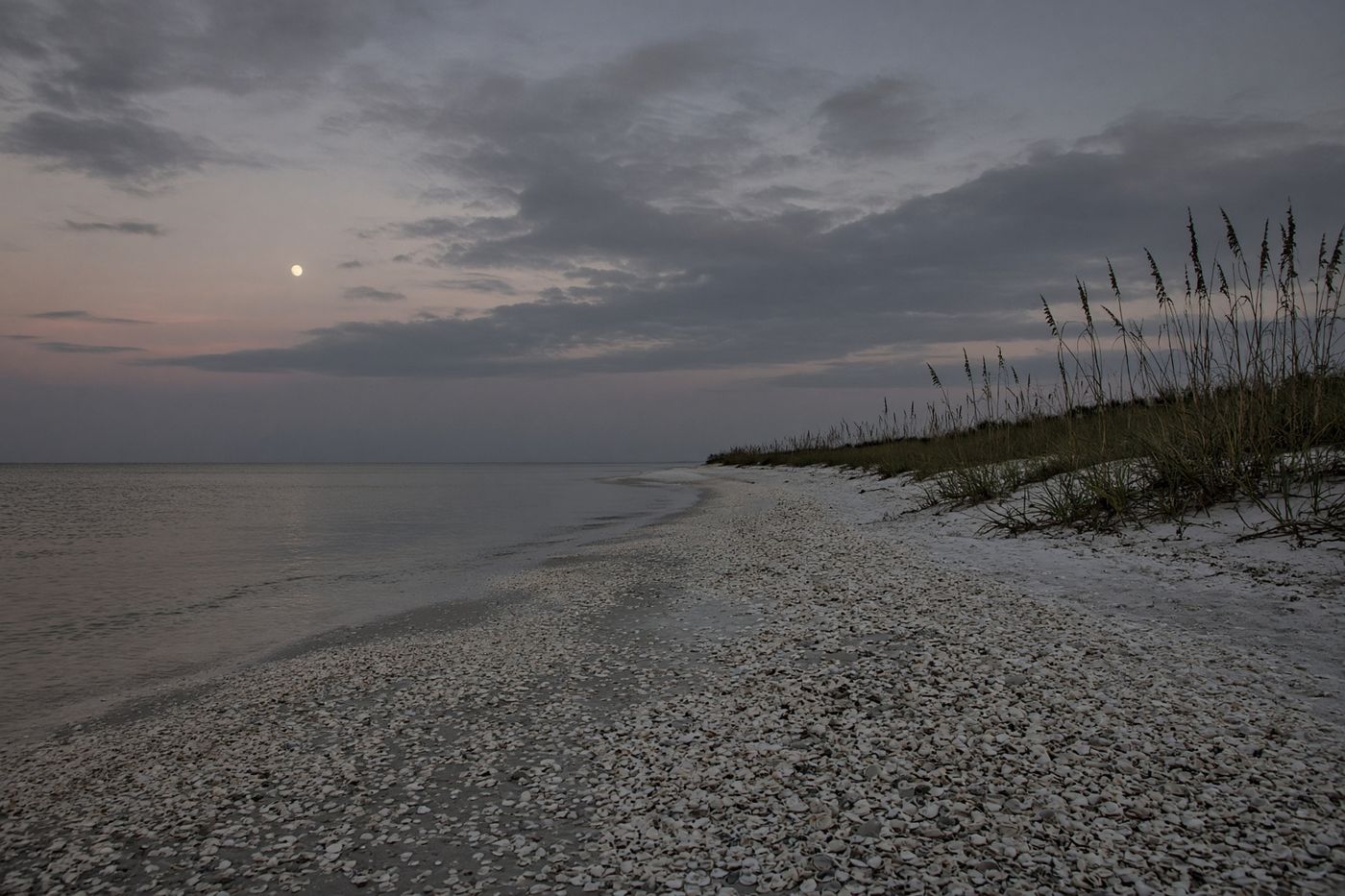 A Sanibel gulf beach at dusk, sea oats and a pale moon over still water